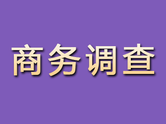 泰和商务调查